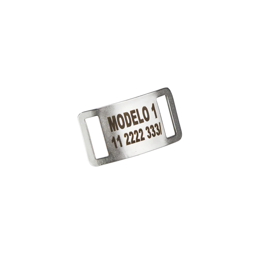Pasante Modelo 1